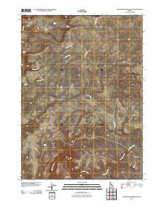 Dickshooter Reservoir Idaho Historical topographic map, 1:24000 scale, 7.5 X 7.5 Minute, Year 2010