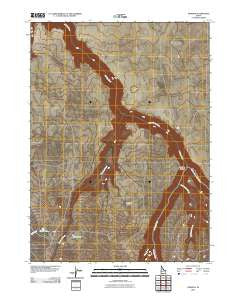 Dishpan Idaho Historical topographic map, 1:24000 scale, 7.5 X 7.5 Minute, Year 2010