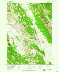 Dry Valley Idaho Historical topographic map, 1:24000 scale, 7.5 X 7.5 Minute, Year 1949