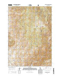Dry Buck Valley Idaho Current topographic map, 1:24000 scale, 7.5 X 7.5 Minute, Year 2013