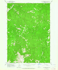 Duck Creek Point Idaho Historical topographic map, 1:24000 scale, 7.5 X 7.5 Minute, Year 1963