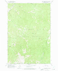 Duck Creek Point Idaho Historical topographic map, 1:24000 scale, 7.5 X 7.5 Minute, Year 1963