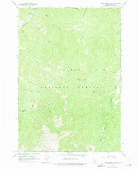 Duck Creek Point Idaho Historical topographic map, 1:24000 scale, 7.5 X 7.5 Minute, Year 1963