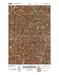 Duck Creek Point Idaho Historical topographic map, 1:24000 scale, 7.5 X 7.5 Minute, Year 2011