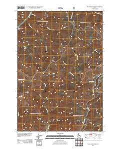 Duck Creek Point Idaho Historical topographic map, 1:24000 scale, 7.5 X 7.5 Minute, Year 2011
