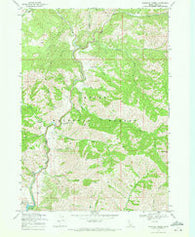 Dunnigan Creek Idaho Historical topographic map, 1:24000 scale, 7.5 X 7.5 Minute, Year 1969