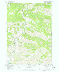 Dunnigan Creek Idaho Historical topographic map, 1:24000 scale, 7.5 X 7.5 Minute, Year 1969