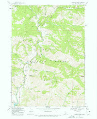 Dunnigan Creek Idaho Historical topographic map, 1:24000 scale, 7.5 X 7.5 Minute, Year 1969