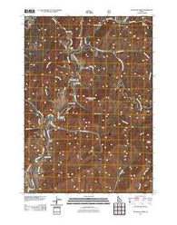 Dunnigan Creek Idaho Historical topographic map, 1:24000 scale, 7.5 X 7.5 Minute, Year 2011