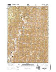 Dunnigan Creek Idaho Current topographic map, 1:24000 scale, 7.5 X 7.5 Minute, Year 2013