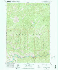 East Basin Creek Idaho Historical topographic map, 1:24000 scale, 7.5 X 7.5 Minute, Year 1964