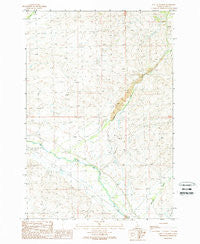 East of Salmon Idaho Historical topographic map, 1:24000 scale, 7.5 X 7.5 Minute, Year 1989