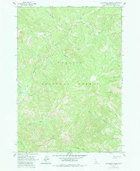Elevenmile Creek Idaho Historical topographic map, 1:24000 scale, 7.5 X 7.5 Minute, Year 1963