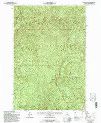 Elizabeth Lake Idaho Historical topographic map, 1:24000 scale, 7.5 X 7.5 Minute, Year 1994