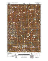 Elizabeth Lake Idaho Historical topographic map, 1:24000 scale, 7.5 X 7.5 Minute, Year 2011