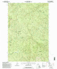 Elk Butte Idaho Historical topographic map, 1:24000 scale, 7.5 X 7.5 Minute, Year 1994