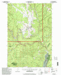 Elk City Idaho Historical topographic map, 1:24000 scale, 7.5 X 7.5 Minute, Year 1995