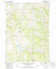 Elk Valley Idaho Historical topographic map, 1:24000 scale, 7.5 X 7.5 Minute, Year 1980