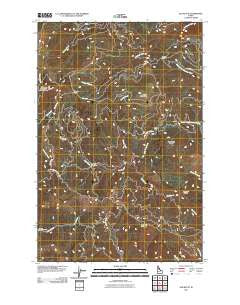 Elk Butte Idaho Historical topographic map, 1:24000 scale, 7.5 X 7.5 Minute, Year 2011