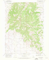 Elkhorn Peak Idaho Historical topographic map, 1:24000 scale, 7.5 X 7.5 Minute, Year 1968