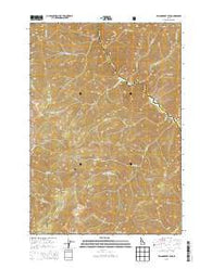 Falconberry Peak Idaho Current topographic map, 1:24000 scale, 7.5 X 7.5 Minute, Year 2013