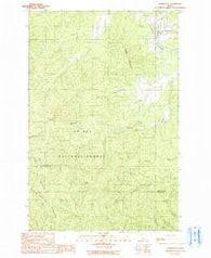 Fernwood Idaho Historical topographic map, 1:24000 scale, 7.5 X 7.5 Minute, Year 1990