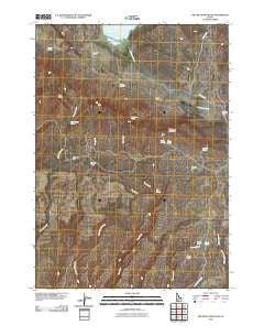 Fir Grove Mountain Idaho Historical topographic map, 1:24000 scale, 7.5 X 7.5 Minute, Year 2010