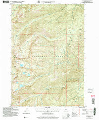 Fitsum Peak Idaho Historical topographic map, 1:24000 scale, 7.5 X 7.5 Minute, Year 2004