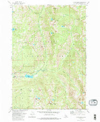 Fitsum Summit Idaho Historical topographic map, 1:24000 scale, 7.5 X 7.5 Minute, Year 1973