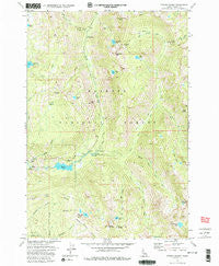 Fitsum Summit Idaho Historical topographic map, 1:24000 scale, 7.5 X 7.5 Minute, Year 1973