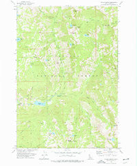 Fitsum Summit Idaho Historical topographic map, 1:24000 scale, 7.5 X 7.5 Minute, Year 1973