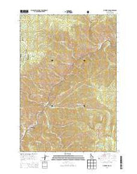 Fivemile Bar Idaho Current topographic map, 1:24000 scale, 7.5 X 7.5 Minute, Year 2013
