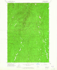 Florence Idaho Historical topographic map, 1:24000 scale, 7.5 X 7.5 Minute, Year 1963