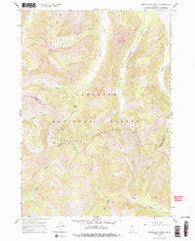 Frenchman Creek Idaho Historical topographic map, 1:24000 scale, 7.5 X 7.5 Minute, Year 1964