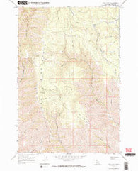 Frye Point Idaho Historical topographic map, 1:24000 scale, 7.5 X 7.5 Minute, Year 1968