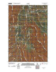Frye Point Idaho Historical topographic map, 1:24000 scale, 7.5 X 7.5 Minute, Year 2010