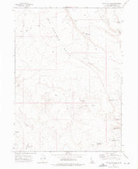 Frying Pan Basin Idaho Historical topographic map, 1:24000 scale, 7.5 X 7.5 Minute, Year 1972