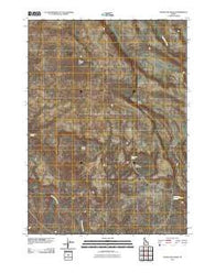 Frying Pan Basin Idaho Historical topographic map, 1:24000 scale, 7.5 X 7.5 Minute, Year 2010
