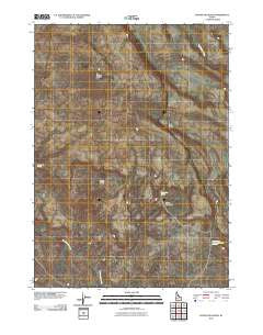Frying Pan Basin Idaho Historical topographic map, 1:24000 scale, 7.5 X 7.5 Minute, Year 2010