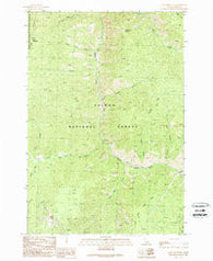 Gant Mountain Idaho Historical topographic map, 1:24000 scale, 7.5 X 7.5 Minute, Year 1989