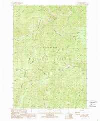 Gant Ridge Idaho Historical topographic map, 1:24000 scale, 7.5 X 7.5 Minute, Year 1989