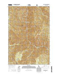 Gant Mountain Idaho Current topographic map, 1:24000 scale, 7.5 X 7.5 Minute, Year 2013