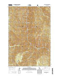 Gant Mountain Idaho Current topographic map, 1:24000 scale, 7.5 X 7.5 Minute, Year 2013