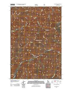 Gant Ridge Idaho Historical topographic map, 1:24000 scale, 7.5 X 7.5 Minute, Year 2011