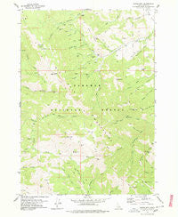Garns Mtn Idaho Historical topographic map, 1:24000 scale, 7.5 X 7.5 Minute, Year 1978