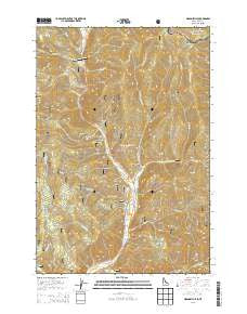 Gibbonsville Idaho Current topographic map, 1:24000 scale, 7.5 X 7.5 Minute, Year 2013