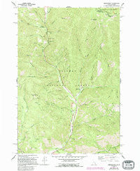 Gibbonsville Idaho Historical topographic map, 1:24000 scale, 7.5 X 7.5 Minute, Year 1966