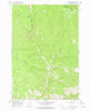 Gibbonsville Idaho Historical topographic map, 1:24000 scale, 7.5 X 7.5 Minute, Year 1966