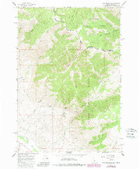 Goat Mountain Idaho Historical topographic map, 1:24000 scale, 7.5 X 7.5 Minute, Year 1965