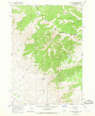 Goat Mountain Idaho Historical topographic map, 1:24000 scale, 7.5 X 7.5 Minute, Year 1965